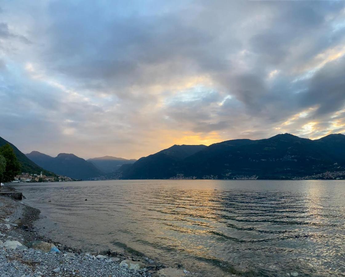 Lake House Near Bellagio Villa Lezzeno Eksteriør bilde